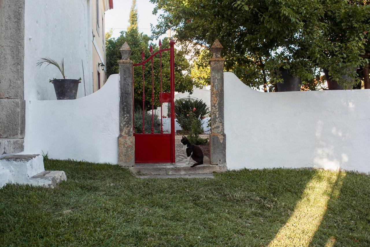 Casa Das Alfazemas Com Piscina, Jardim E Snooker Adao Lobo Extérieur photo